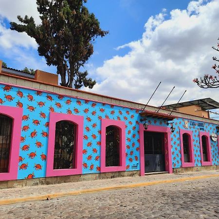 Oaxaca Hotel Casa Arnel מראה חיצוני תמונה