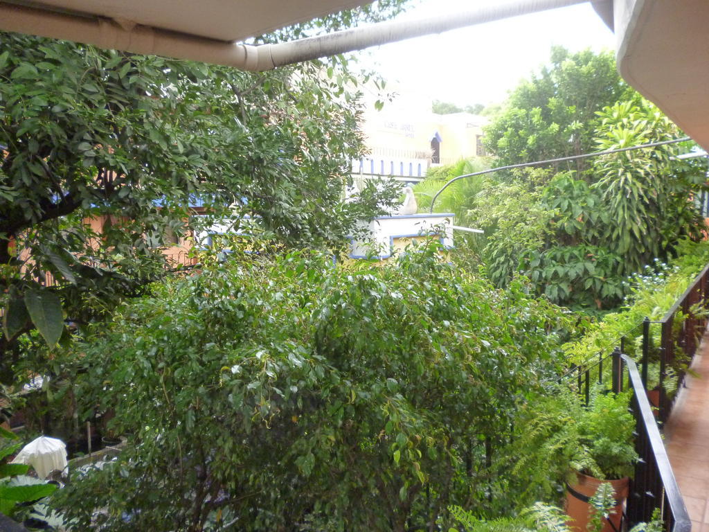 Oaxaca Hotel Casa Arnel מראה חיצוני תמונה