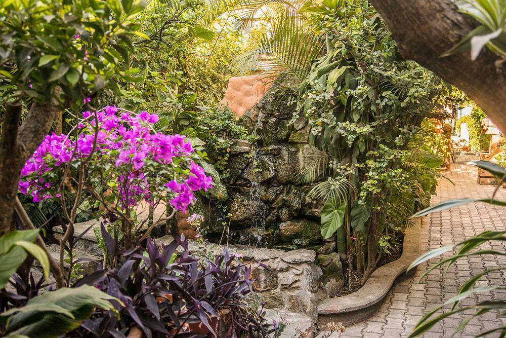 Oaxaca Hotel Casa Arnel מראה חיצוני תמונה