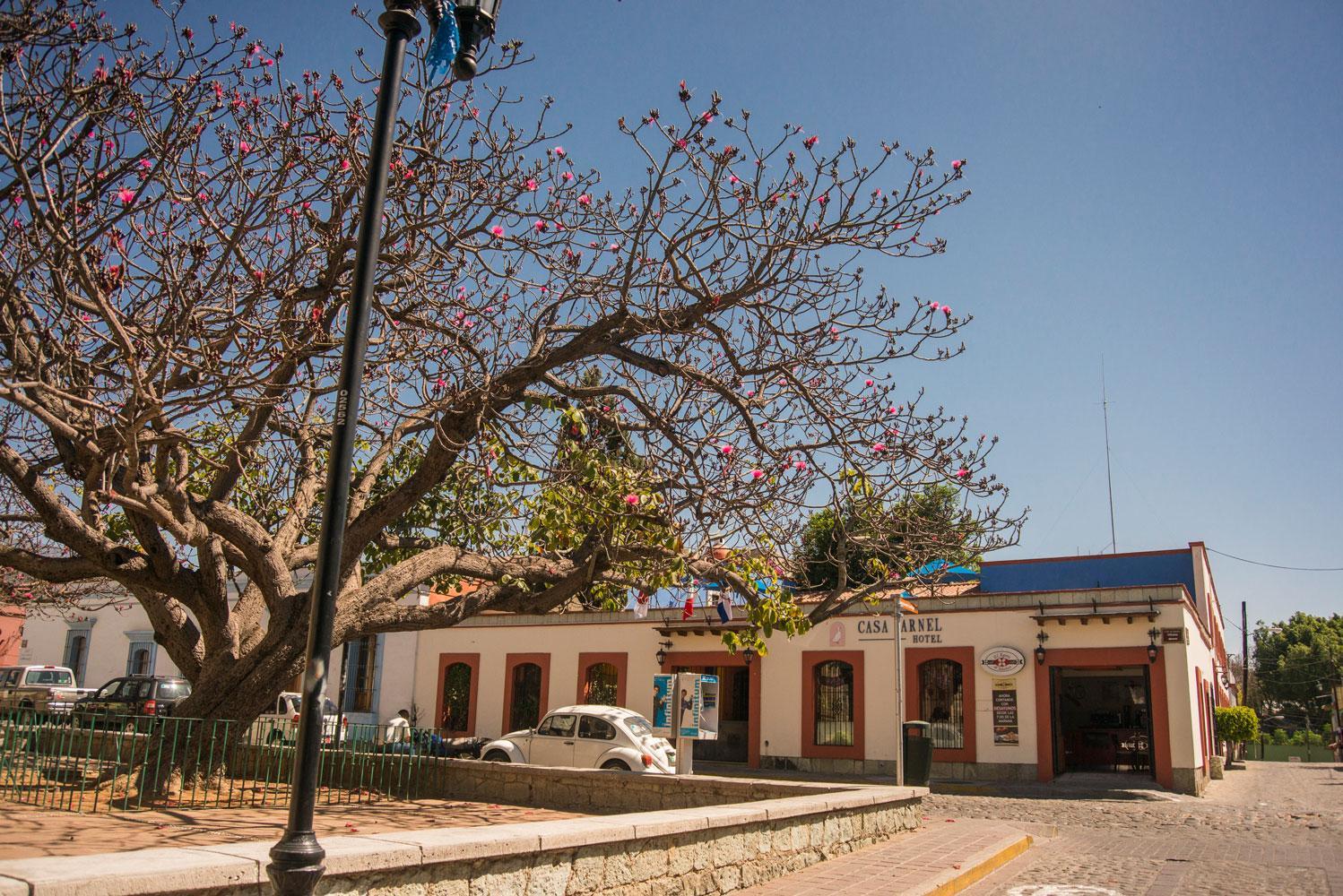 Oaxaca Hotel Casa Arnel מראה חיצוני תמונה